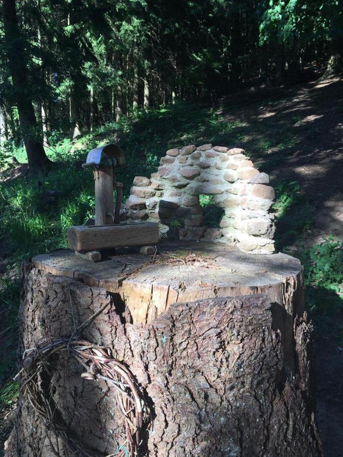 Waldnest Odenwald Hotel Екстериор снимка